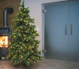 Künstlicher Weihnachtsbaum Roswell Kiefer Angebote bei toom Baumarkt Fellbach für 269,99 €