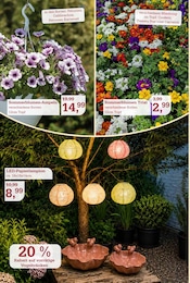 Möbel im Garten-Center Nordharz GmbH & Co. KG Prospekt in Kassel Aktueller Garten-Center Nordharz GmbH & Co. KG Prospekt mit Möbel, "Zeit zum Verweilen", Seite 6