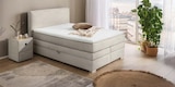 Boxspringbett Angebot im buss Prospekt Boxspringbett im buss Prospekt zum Preis von 999,00 €