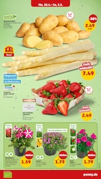 Kartoffeln Angebot im aktuellen Penny Prospekt auf Seite 3