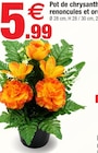Bazarland Latour-Bas-Elne - Promo Pot de chrysanthèmes, renoncules et autres fleurs Promo Pot de chrysanthèmes, renoncules et autres fleurs à 5,99 € dans le catalogue Bazarland à Latour-Bas-Elne