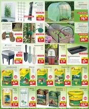 Aktueller Zimmermann Prospekt mit Gartenhaus, "Aktuelle Angebote", Seite 11