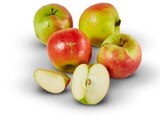 rote Wetteräpfel Angebot im Penny-Markt Prospekt rote Wetteräpfel im Penny-Markt Prospekt zum Preis von 1,89 €