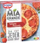 La Mia Grande La Mia Familia oder Ristorante glutenfrei im Angebot bei E center in Rostock La Mia Grande La Mia Familia oder Ristorante glutenfrei Angebote von Dr. Oetker bei E center Rostock für 3,49 €