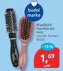 Blackbird Haarbürste mini von budni marke im aktuellen budni Prospekt für 1,69 €