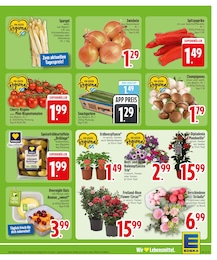 EDEKA Sträucher im Prospekt 