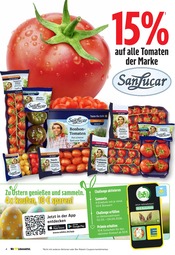 Tomaten im E center Prospekt in Neustadt Aktueller E center Prospekt mit Tomaten, "Aktuelle Angebote", Seite 4