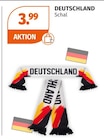 Deutschland Schal für 3,99 € bei Müller im Angebot Deutschland Schal im aktuellen Müller Prospekt