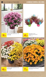 Promos Chrysanthèmes dans le catalogue "-60% DE REMISE IMMÉDIATE SUR LE 2ÈME" de Intermarché Super Chrysanthèmes en promo dans le catalogue Intermarché Super à la page 10