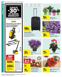 Offre Plantes dans le catalogue Carrefour du moment à la page 70