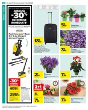 Plantes Angebote im Prospekt "Carrefour" von Carrefour auf Seite 70