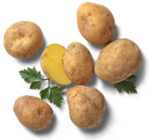 Aktuelle Kartoffeln Angebote bei Kaufland in Salzgitter Aktuelles Dtsch. Speisekartoffeln, lose Angebot bei Kaufland in Salzgitter ab 0,79 €