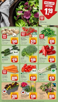 Narzissen im REWE Prospekt "Dein Markt" mit 18 Seiten (Frankfurt (Main))