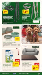 Hundebett im Fressnapf Prospekt Festliche Angebote auf S. 7