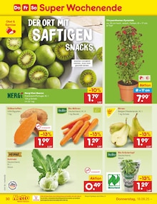 Chrysantheme im Netto Marken-Discount Prospekt "Aktuelle Angebote" mit 60 Seiten (Hamburg)