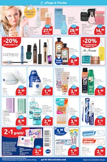 budni Prospekt Wenningstedt-Braderup (Sylt) "drogeriemarkt" mit 16 Seiten