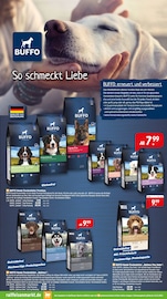 Aktueller Raiffeisenmarkt Prospekt mit Ente, "Mach dich bereit! Weihnachten steht vor der Tür!", Seite 5