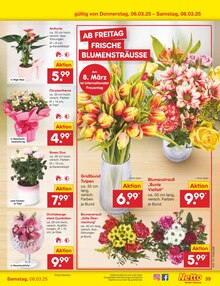 Blumen im Netto Marken-Discount Prospekt "Aktuelle Angebote" mit 62 Seiten (Koblenz)