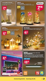 Aktueller Netto mit dem Scottie Prospekt mit LED Fernseher, "Günstig. Besser. Für Dich.", Seite 19