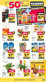 Bromelie Angebote im Prospekt "Günstig. Besser. Für Dich." von Netto mit dem Scottie Bromelie Angebote im Prospekt "Günstig. Besser. Für Dich." von Netto mit dem Scottie auf Seite 37