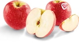Pink Lady Äpfel bei Netto Marken-Discount im Villingen-Schwenningen Prospekt für 2,22 €
