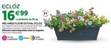 Jardineries du terroir Dole - Promo Mélange fleuri estival ECLOZ Promo Mélange fleuri estival ECLOZ à 16,99 € dans le catalogue Jardineries du terroir à Dole