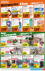 Camping im Norma Prospekt in Suhl Aktueller Norma Prospekt mit Camping, "Mehr fürs Geld", Seite 13