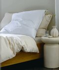 Bruri Synthetik-Kopfkissen 40x80 cm im Angebot bei JYSK in Emden Bruri Synthetik-Kopfkissen 40x80 cm Angebote von Kronborg bei JYSK Emden für 20,00 €
