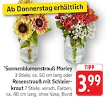 EDEKA Pirmasens - Sonnenblumenstrauß Marley Angebot im Prospekt Sonnenblumenstrauß Marley bei EDEKA im Pirmasens Prospekt für 3,99 €