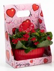 Cora - Composition florale fête des mères : offre du catalogue Promo Composition florale fête des mères à 9,99 € dans le catalogue Cora ""