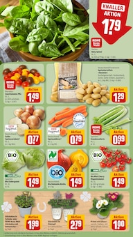 Tomaten im aktuellen REWE Prospekt (München) Tomaten im REWE Prospekt "Dein Markt" mit 16 Seiten (München)