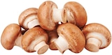 Braune Bio Champignons im Angebot bei REWE in Schwäbisch Hall Braune Bio Champignons Angebote von REWE Bio bei REWE Schwäbisch Hall für 1,79 €