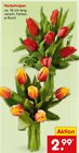 Herbsttulpen im Angebot bei Netto Marken-Discount in Regensburg Herbsttulpen Angebote bei Netto Marken-Discount Regensburg für 2,99 €