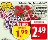 Petunien Mix Kaiserschatzl Angebote bei EDEKA Germering für 1,99 €