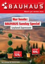 BAUHAUS Prospekt für Hamburg mit 1 Seiten BAUHAUS Prospekt für Hamburg: "BAUHAUS Sunday Special", 1 Seiten, 09.05.2021 - 09.05.2021