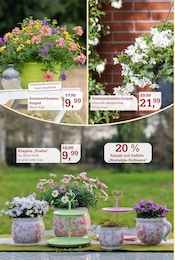 Aktueller Garten-Center Nordharz GmbH & Co. KG Prospekt mit Küche, "SUMMER TIME!", Seite 2