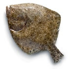 Steinbutt Zucht von Metro Chef im aktuellen METRO Prospekt für 22,99 €