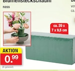Blumensteckschaum Angebote bei Zimmermann Emden für 0,99 €