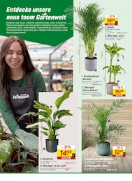 Pflanztopf Angebot & Preis im aktuellen toom Baumarkt Prospekt Pflanztopf Angebot im aktuellen toom Baumarkt Prospekt auf Seite 17