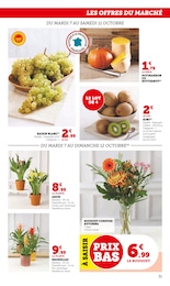 Prix et réduction Aménagement Extérieur dans le prospectus Super U en cours Offre Aménagement Extérieur dans le catalogue Super U du moment à la page 31