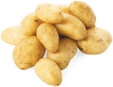Speisekartoffeln Angebote bei REWE Brandenburg für 1,59 €