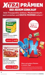 Mais im Kaufland Prospekt KNÜLLER auf S. 70