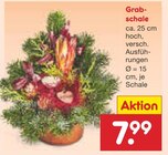 Grabschale im Angebot bei Netto Marken-Discount in Albstadt Grabschale Angebote bei Netto Marken-Discount Albstadt für 7,99 €