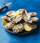 Huitre fine de normandie - Super U à Villepinte Huitre fine de normandie en promo chez Super U Villepinte à 11,40 €