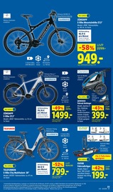 City Bike im Lidl Prospekt in Kassel Aktueller Lidl Prospekt mit City Bike, "LIDL LOHNT SICH", Seite 39
