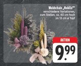 EDEKA Schlüsselfeld - Waldschale „Nobilis“ Angebot im Prospekt Waldschale „Nobilis“ bei EDEKA im Schlüsselfeld Prospekt für 9,99 €