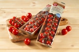 Aktuelles Delizioso Mini Cherry Rispentomaten Angebot bei REWE in Halle (Saale) ab 2,79 €