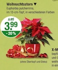 Weihnachtsstern im aktuellen V-Markt Prospekt für 3,99 €