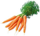 Aktuelles Möhren mit Grün Angebot bei REWE in Oberhausen ab 0,89 €