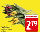7er Tulpen Angebote bei EDEKA Passau für 2,79 €